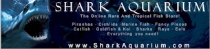 SHARK AQUARIUM